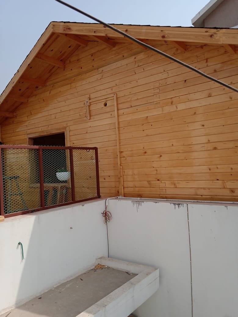 Roof Top Wooden Cottage